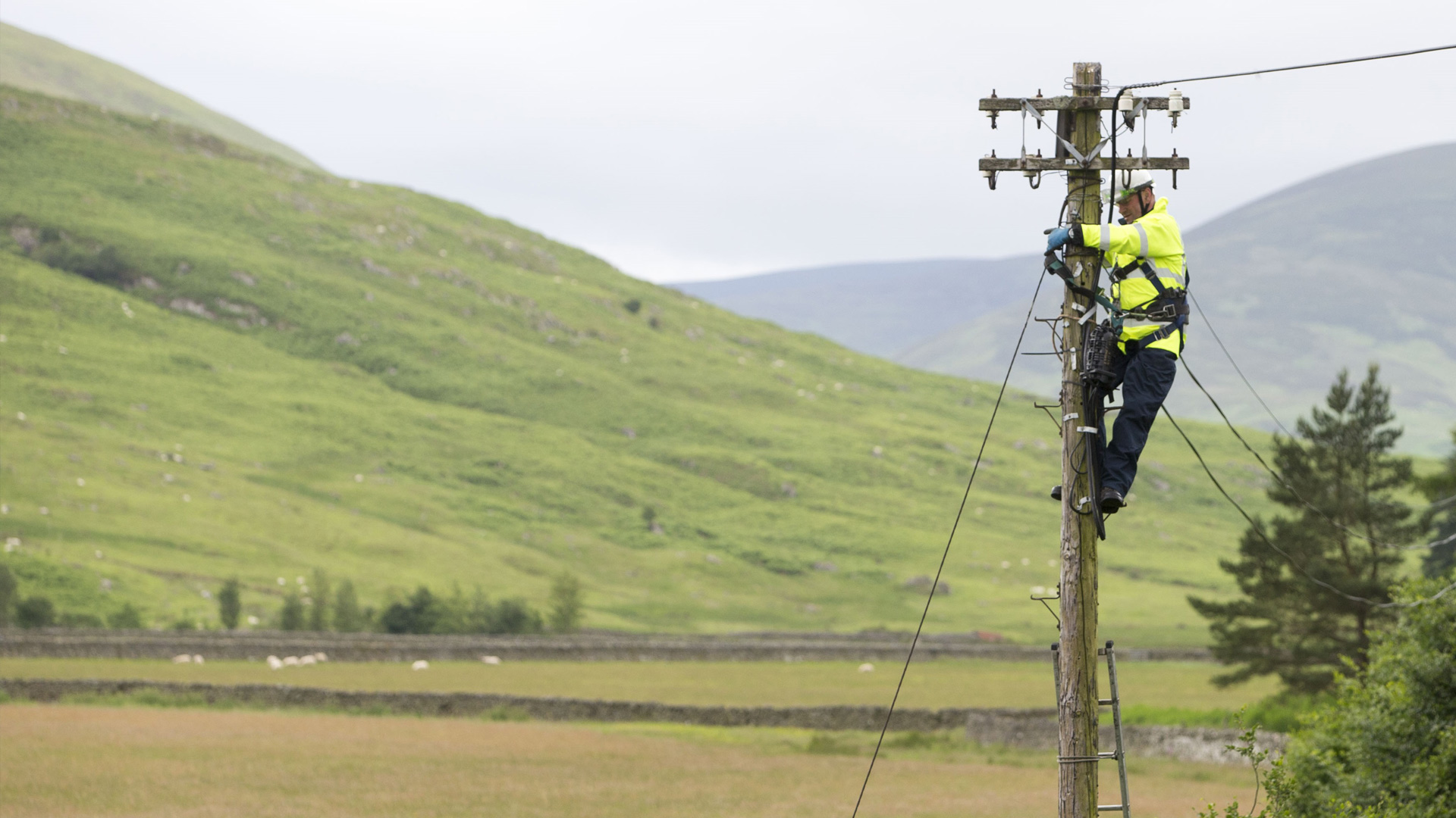 Openreach