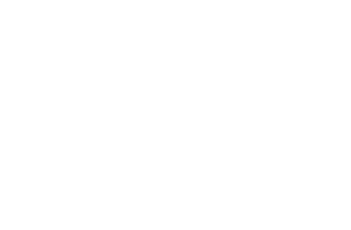 Times_Literary_Supplement_logo